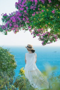 Mui Dinh’s Purple Bloom: A Breathtaking Summer Travel Guide to Vietnam’s Hidden Coastal Gem - image 1