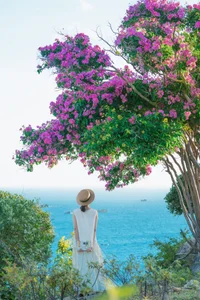 Mui Dinh’s Purple Bloom: A Breathtaking Summer Travel Guide to Vietnam’s Hidden Coastal Gem - image 5