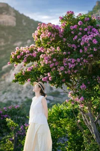 Mui Dinh’s Purple Bloom: A Breathtaking Summer Travel Guide to Vietnam’s Hidden Coastal Gem - image 0