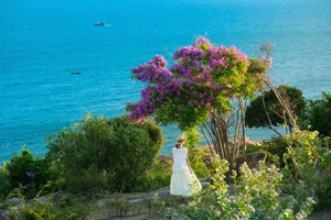 Mui Dinh’s Purple Bloom: A Breathtaking Summer Travel Guide to Vietnam’s Hidden Coastal Gem - image 10