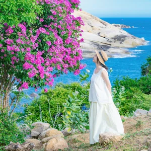 Mui Dinh’s Purple Bloom: A Breathtaking Summer Travel Guide to Vietnam’s Hidden Coastal Gem - image 4