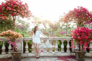 Top Northern Vietnam Travel Destinations for Tet At Ty 2025 - image 1