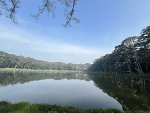 Exploring the Mystical Beauty of Ba Om Pond: A Cultural Gem in Vietnam’s Mekong Delta - image 8