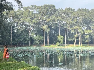 Exploring the Mystical Beauty of Ba Om Pond: A Cultural Gem in Vietnam’s Mekong Delta - image 6
