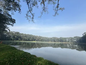 Exploring the Mystical Beauty of Ba Om Pond: A Cultural Gem in Vietnam’s Mekong Delta - image 3