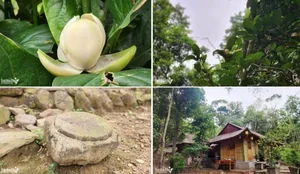 The Bamboo Temple of Quang Ninh: A Unique Marvel of Eco-Friendly Architecture - image 2