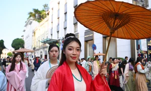 Hanoi Traditional Costume Parade: A Vibrant Celebration of Culture - image 8