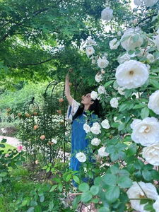 Exploring the Stunning Rose Garden of the Legendary 'Condor Heroes' Actress - image 6