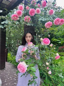 Exploring the Stunning Rose Garden of the Legendary 'Condor Heroes' Actress - image 1