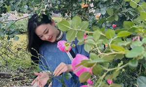 Exploring the Stunning Rose Garden of the Legendary 'Condor Heroes' Actress - image 7