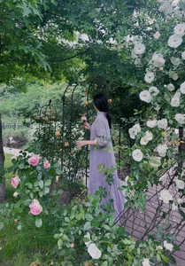 Exploring the Stunning Rose Garden of the Legendary 'Condor Heroes' Actress - image 4