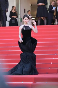 Cannes Film Festival Protocol: Understanding Red Carpet Rules and Fashion Boundaries - image 5