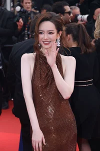 Cannes Film Festival Protocol: Understanding Red Carpet Rules and Fashion Boundaries - image 9