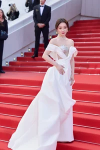 Cannes Film Festival Protocol: Understanding Red Carpet Rules and Fashion Boundaries - image 10