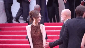 Cannes Film Festival Protocol: Understanding Red Carpet Rules and Fashion Boundaries - image 6