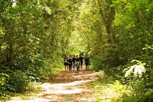 Trekking Through Cat Ba Jungle to Discover the Ancient Viet Hai Village - image 11