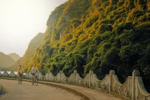 Trekking Through Cat Ba Jungle to Discover the Ancient Viet Hai Village - image 4