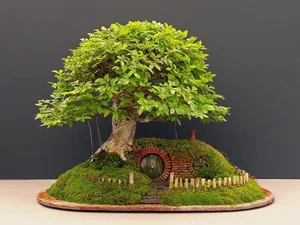 The Art of Living Sculptures: Exploring the World’s 10 Most Exquisite and Unique Bonsai Masterpieces - image 1