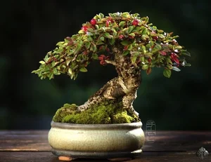 The Art of Living Sculptures: Exploring the World’s 10 Most Exquisite and Unique Bonsai Masterpieces - image 5