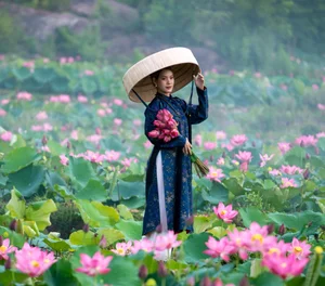 Discover the Breathtaking Beauty of the Lotus Blooming Season in Tra Ly - image 9