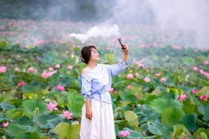 Discover the Breathtaking Beauty of the Lotus Blooming Season in Tra Ly - image 7