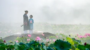Discover the Breathtaking Beauty of the Lotus Blooming Season in Tra Ly - image 5
