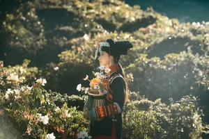 The Artistic Essence of Xia Xia in YiTuYu Art Language Vol.5111 - image 26