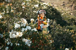 The Artistic Essence of Xia Xia in YiTuYu Art Language Vol.5111 - image 1
