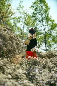 The Artistic Essence of Xia Xia in YiTuYu Art Language Vol.5111 - image 9