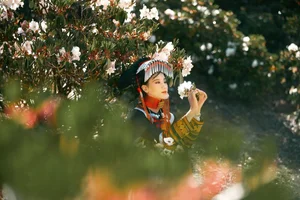 The Artistic Essence of Xia Xia in YiTuYu Art Language Vol.5111 - image 0