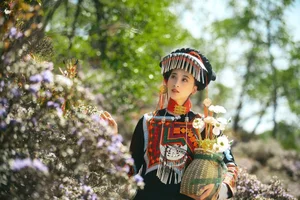 The Artistic Essence of Xia Xia in YiTuYu Art Language Vol.5111 - image 2