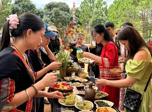 Discovering Mang Den Art Garden: A Cultural Highlight in Kon Tum Tourism - image 6