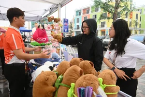 Ultimate Fan Experiences at the Road to 8Wonder Music Festival - image 8