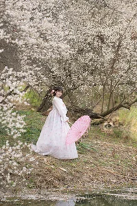 Art Language Vol.6544: The Ethereal Grace of Pao Fu Xiao Fang - image 13