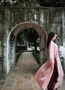 Phan Van Duc's Wife Stuns in Elegant Traditional Ao Dai Amidst Ancient Charm - image 3