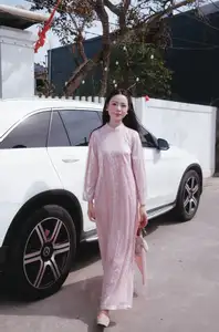 Phan Van Duc's Wife Stuns in Elegant Traditional Ao Dai Amidst Ancient Charm - image 4