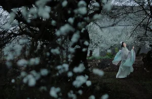 Ethereal Beauty of Wu Sui Sui in Art Language YiTuYu Vol.8876: A Spring Muse in Hanfu - image 10