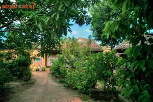 Exploring the Unique Architectural Beauty of Vietnam’s Most Stunning Ancestral Houses - image 10