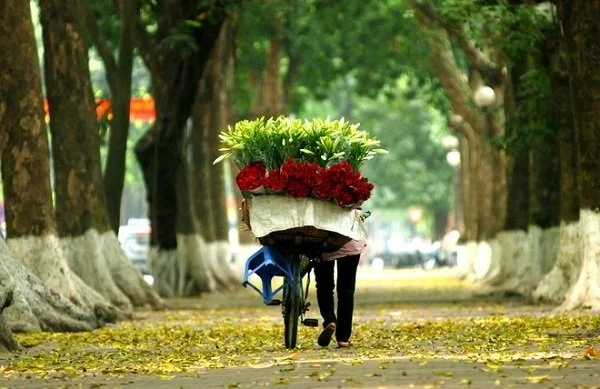 Discover the Most Breathtaking Destinations to Visit During the Enchanting Autumn Season in Vietnam