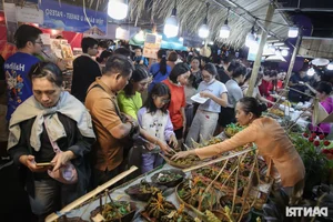 Exploring the Vibrant Food Scene at the Ho Chi Minh City River Festival - image 9