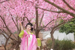 YITUYU Art Language 2023.08.10: Appreciating Plum Blossoms with the Captivating Hehe Miao - image 14