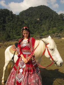 Miss Vietnam Tran Tieu Vy shines in traditional ethnic attire amidst the majestic mountains - image 3