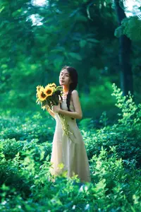 Serene Braided Beauty Bathed in Golden Sunlight - image 1