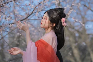 Spring Muse in Hanfu YiTuYu Vol.8891 Gui Yuan Ba Bao Zhou - image 2