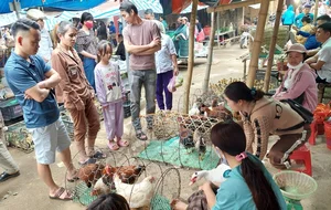 Exploring Pho Doan Market: A Vibrant Cultural Gem in Pu Luong - image 8