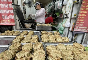 Tasting Tradition: The Famous 30-Year Sandworm Omelet in Hanoi Old Quarter - image 6