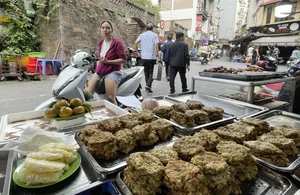Tasting Tradition: The Famous 30-Year Sandworm Omelet in Hanoi Old Quarter - image 2