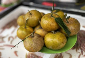 Tasting Tradition: The Famous 30-Year Sandworm Omelet in Hanoi Old Quarter - image 9