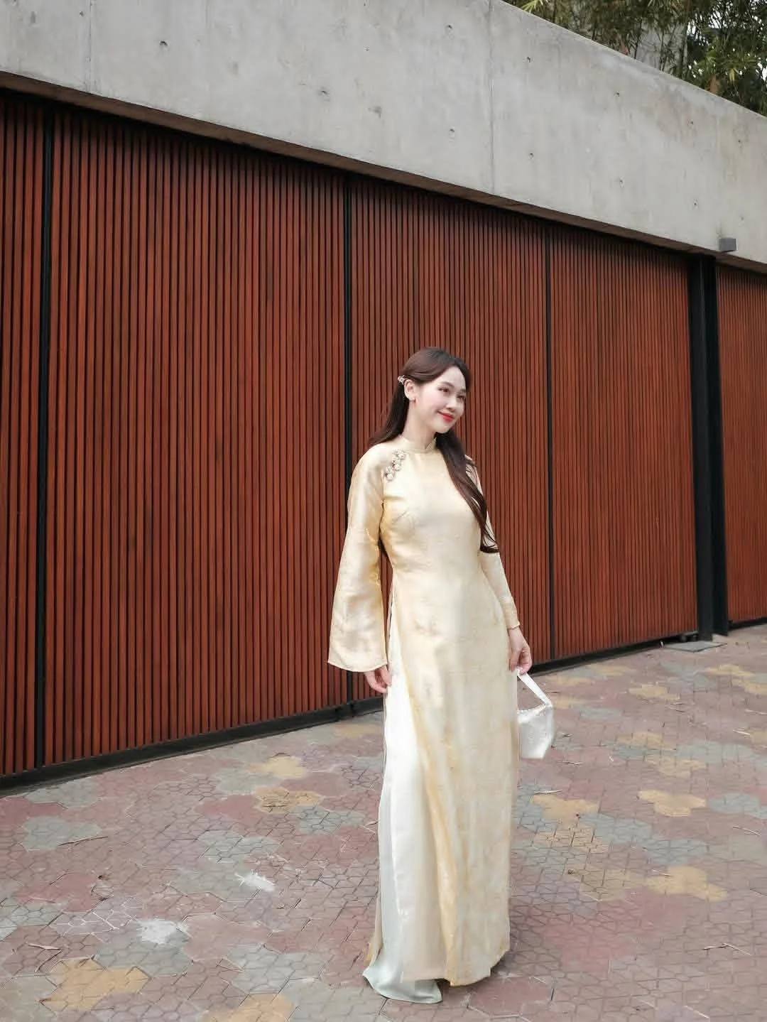 Elegant Vietnamese Silk Ao Dai: Discover the Timeless Grace and Traditional Beauty of Vietnam's Iconic National Dress for Women