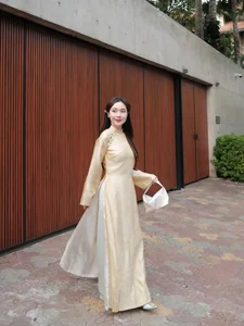 Elegant Vietnamese Silk Ao Dai: Discover the Timeless Grace and Traditional Beauty of Vietnam's Iconic National Dress for Women - image 10